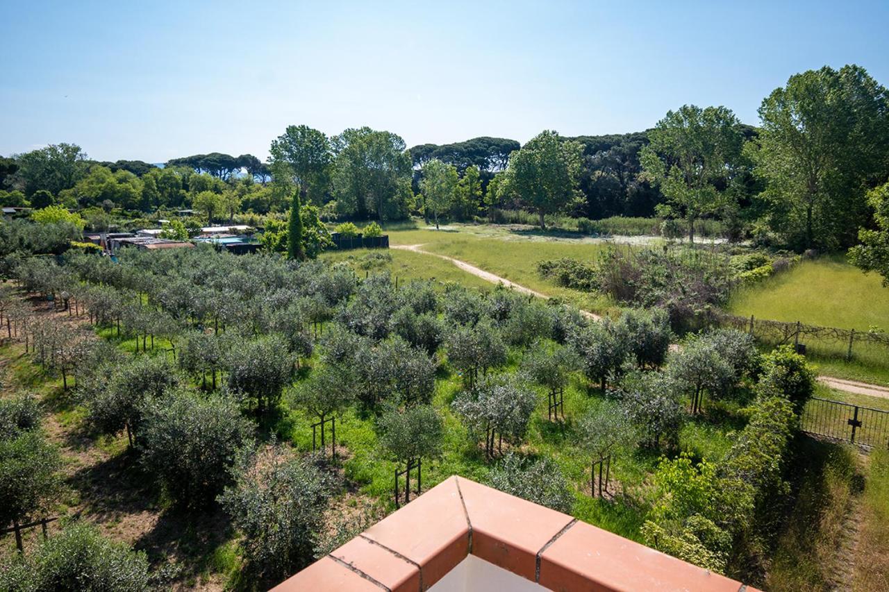 Attico Di Torsten Apartment Torre del Lago Puccini Exterior photo